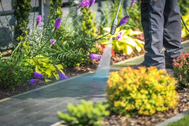 Best Animal Enclosure Cleaning  in Altamont, NY